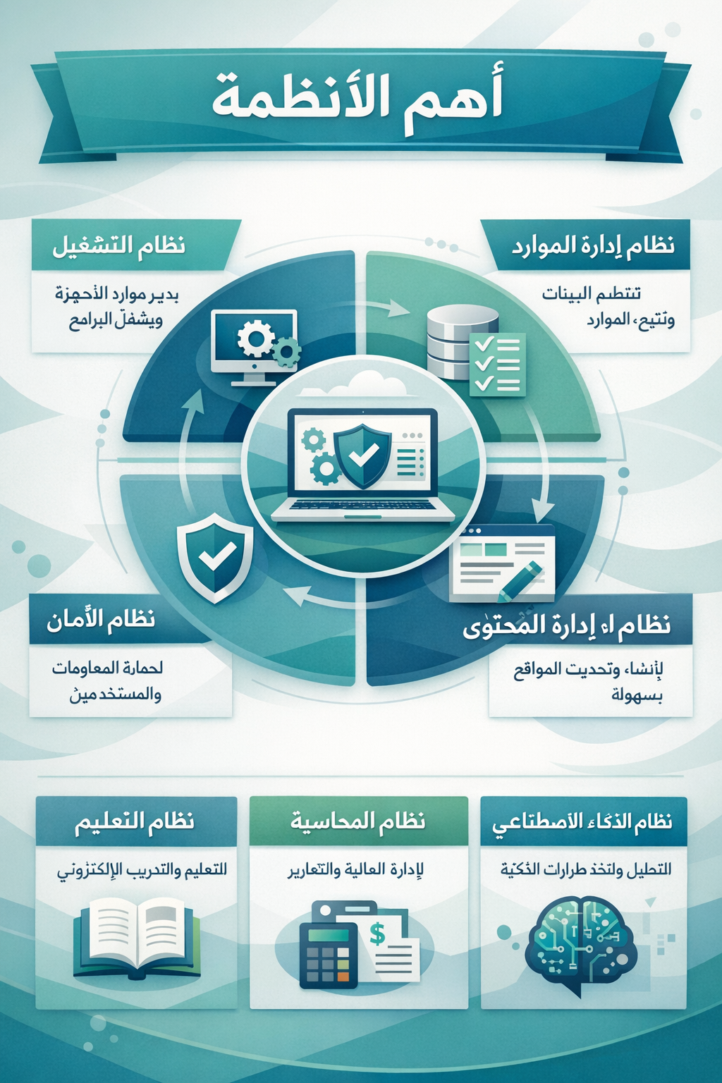 Infographic 7